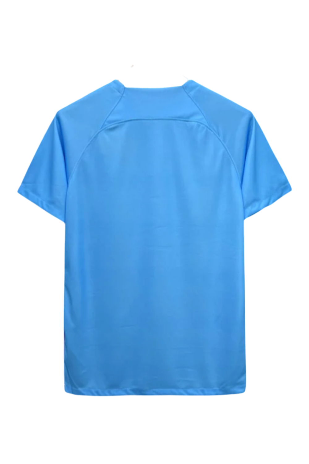 Netherlands SPECIAL EDITION JERSEY 2024/25