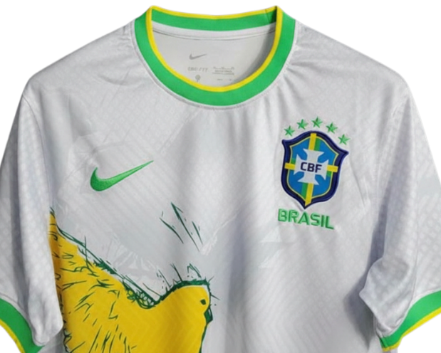 Brazil "Canarinho Flight" Limited Jersey